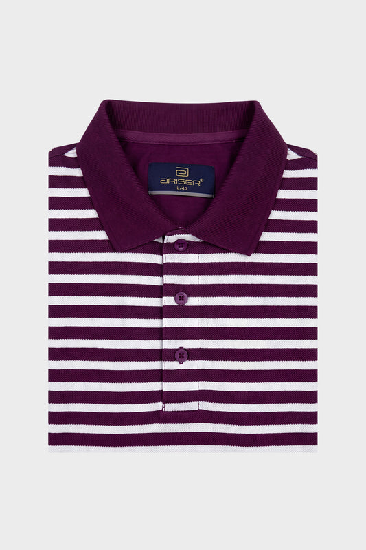 French Polo T-Shirt for Men Pack of 2 - Maroon & Olive Green | Ariser